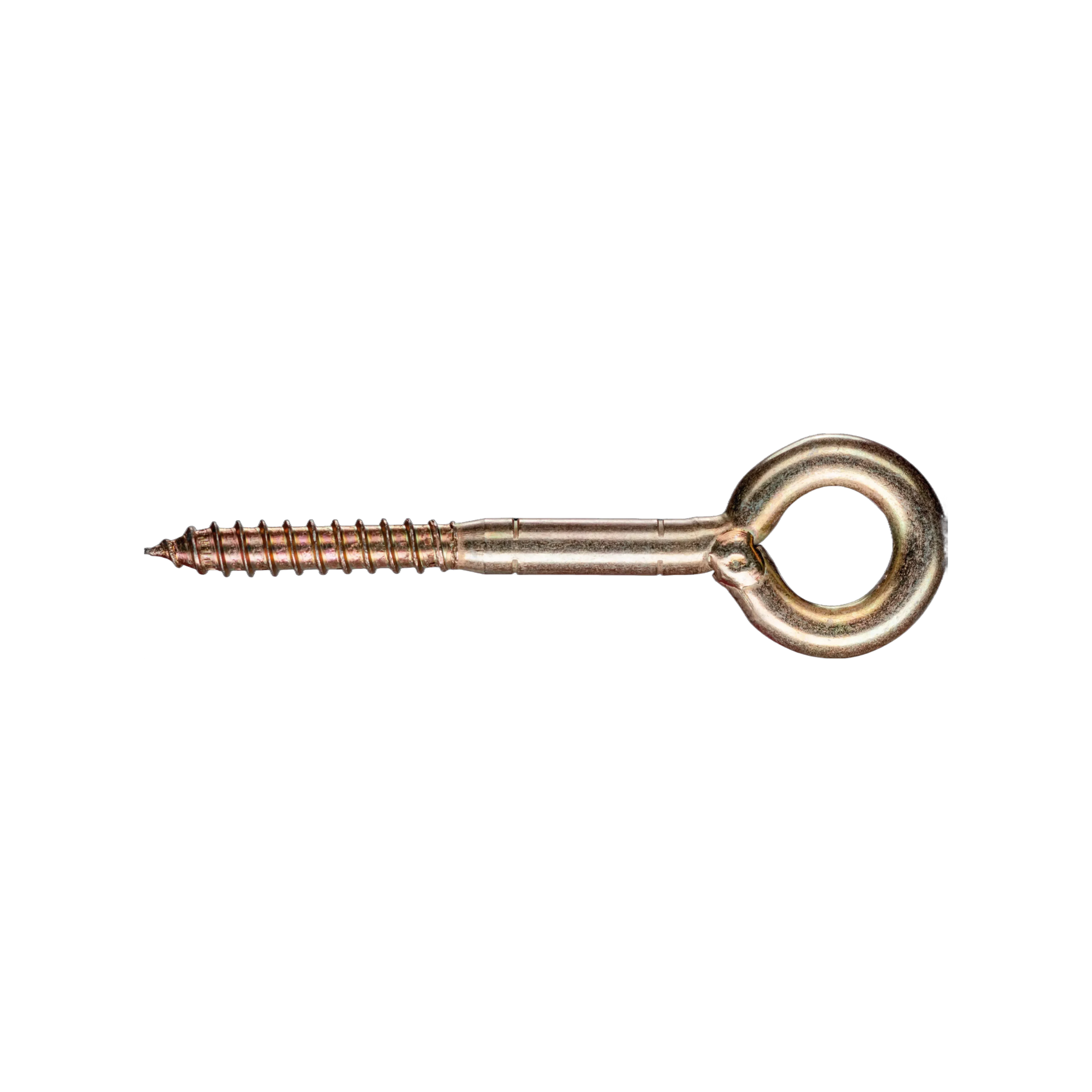 RAWL- Förankringsögla 12mm tjock