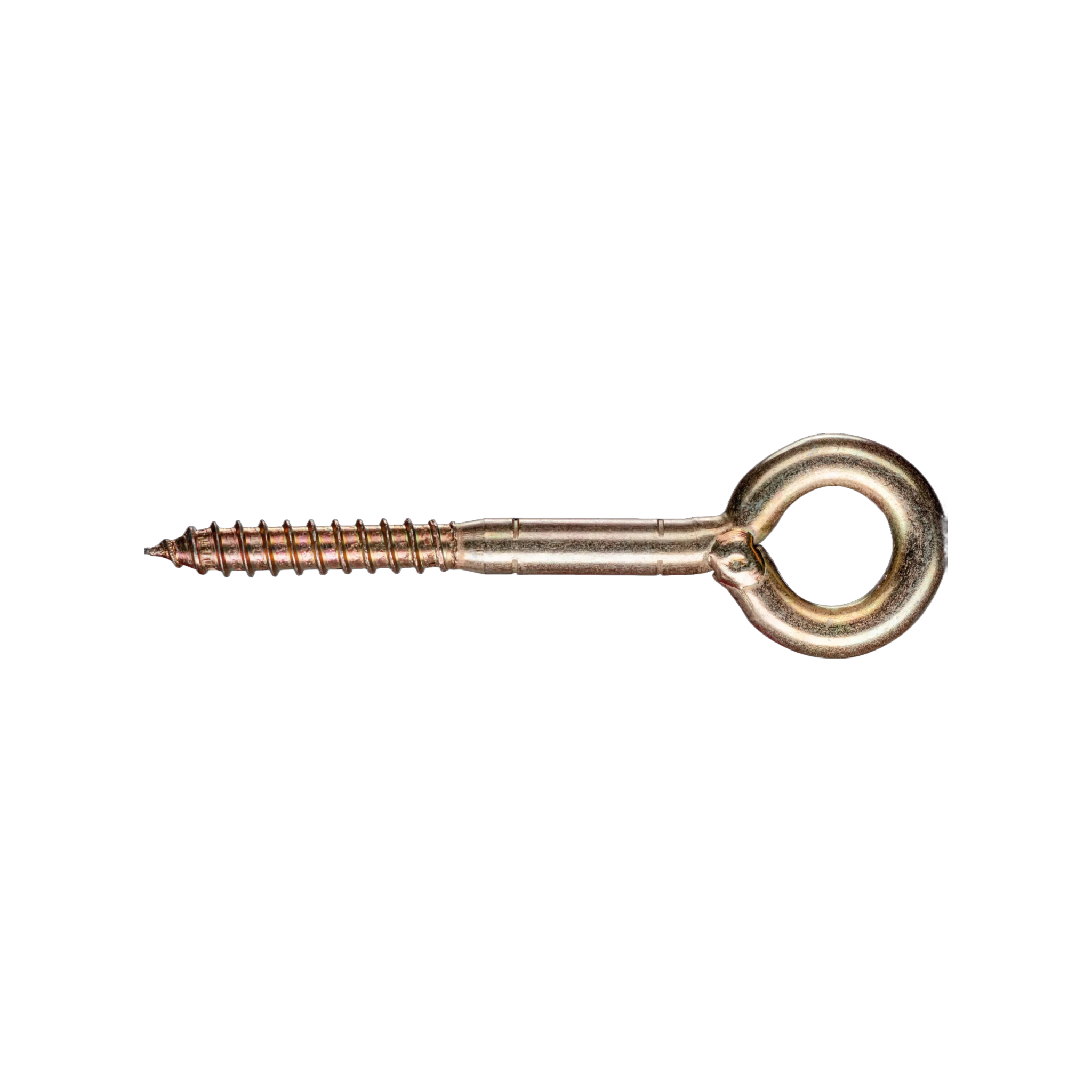 RAWL- Förankringsögla 12mm tjock
